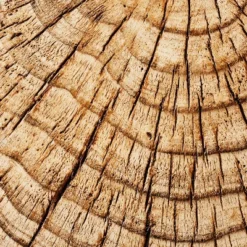 Indoor/Outdoor Faux Concrete Stump Accent Table Brown - Threshold™ Designed With Studio McGee 9 Indoor/Outdoor Faux Concrete Stump Accent Table Brown - Threshold™ Designed With Studio McGee -Cozy Living Sales Store GUEST 03deabfd 2b62 4725 94b4 09a321ea8678