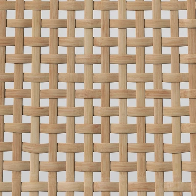 Tormod Backed Cane Dining Chair - Threshold™ 5 Tormod Backed Cane Dining Chair - Threshold™ - Image 5